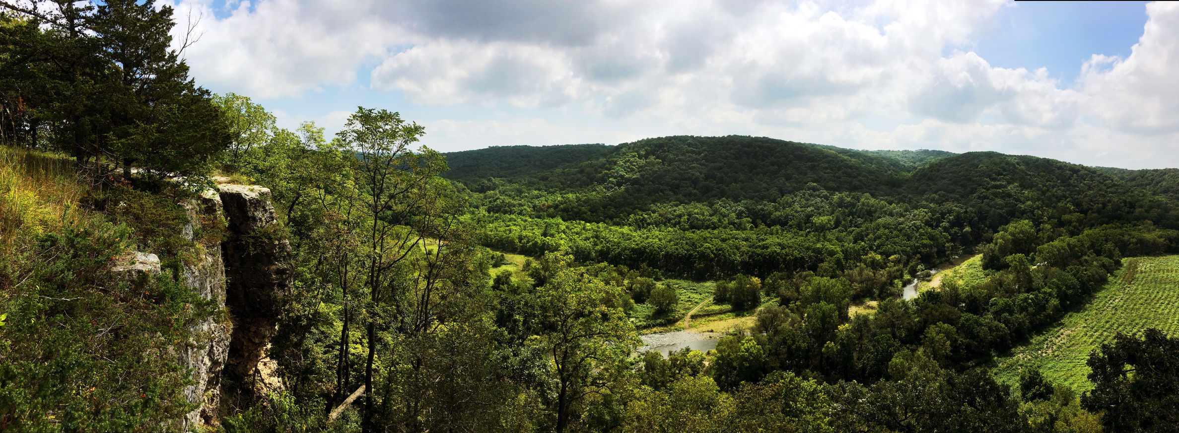 THE GREAT RIVER-0178
